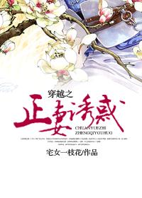 都市后宫娇妻猎艳录