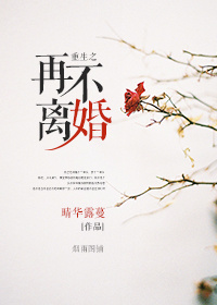 后湾村的那些事儿txt电子书下载