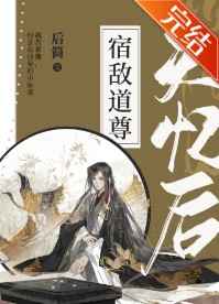 叛逆的鲁鲁修小说