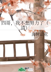 加勒比女海盗h2超清盗