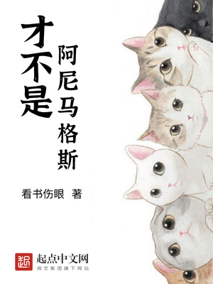 老师合集500阅读