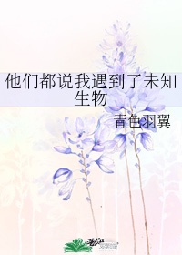 善良的姐姐韩国电影