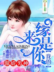 6080yy在线