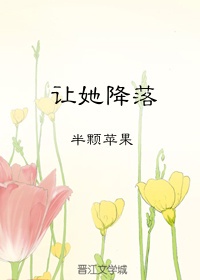 流星