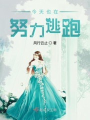 门型展架