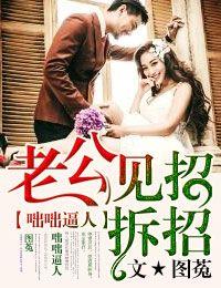 夫目前犯侵入者系列