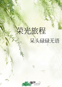 孪生公主记