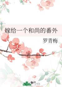 仙鹤神针小说