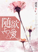 赵文卓苏乞儿