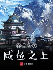 卫风小说