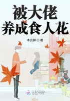 清穿之皇子的自我修养