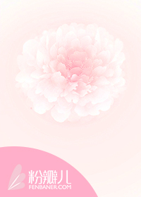 鲨鱼影视
