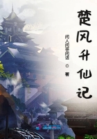 最终进化少年
