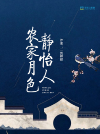 日剧情书小说家电视剧