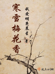 乌龙闯情关电视剧免费观看