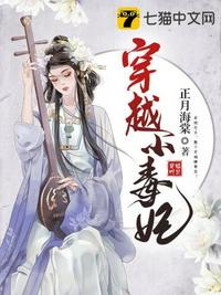 网站免费进入窗口软件有哪些