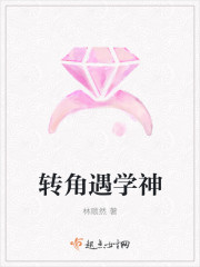 txt免费全本小说书下载