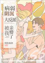 小雷第二十八部全部目录