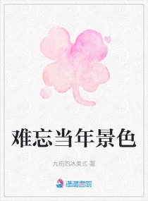 无宁夕不天下是什么书