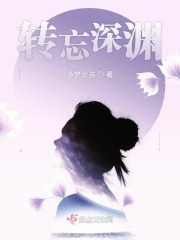 综琼瑶之红楼位面系统