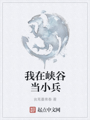 帝王受塞珠子侍卫攻
