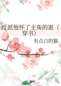 b23t猫咪