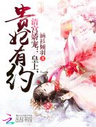 公交车系列目录