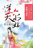 慧钰学车章节在线阅读