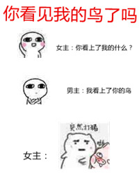 冷情首席的小娇妻