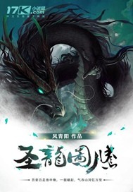 红楼梦h版