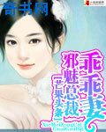 激情视频综合网