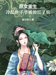第八号当铺小说