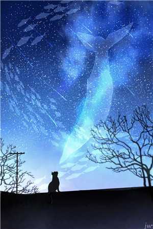 夜曲编程官网