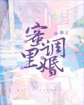 公主和将军高肉