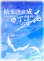 岛国精品视频