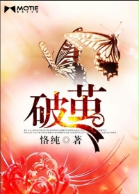 战地之王加里奥