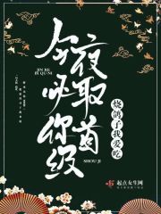 玛雅网图霸天下