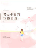 尽欢风流录
