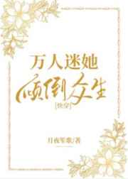 屁眼文化