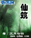 冰糖IO