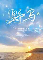 都市极乐后宫