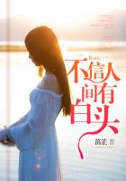 斗破苍穹2在线免费看