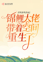 设计2024韩国免费