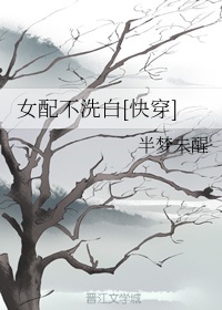 原创办公室 50p 12p