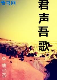 贞芸劫小说