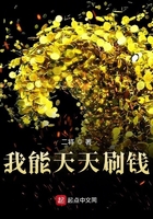 苏菲赵东来小说