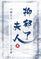 充电式吸尘器