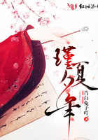 bdsmchinese系列3