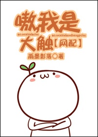 嘘禁止想象哪个播放器