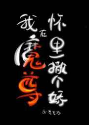 水果派解说入口